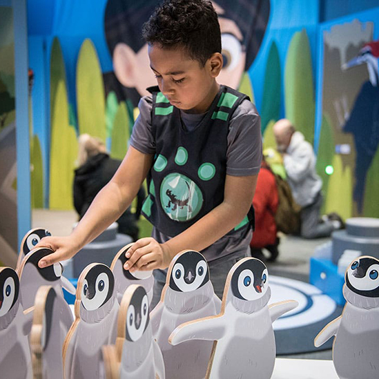 child playing with penguin game